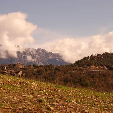 La Cicuarala Daire Guaso