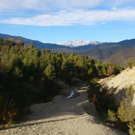 La Cicuarala Daire Guaso