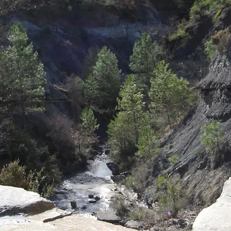 Daire La Cicuarala *