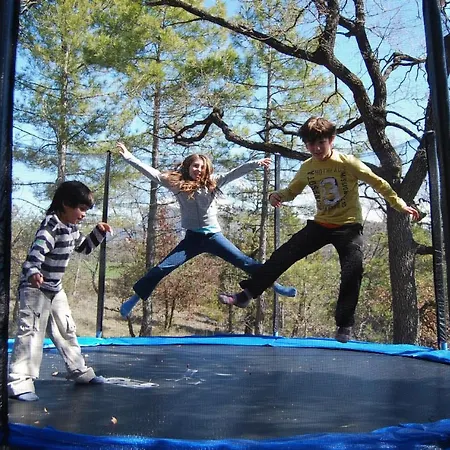 La Cicuarala Daire *